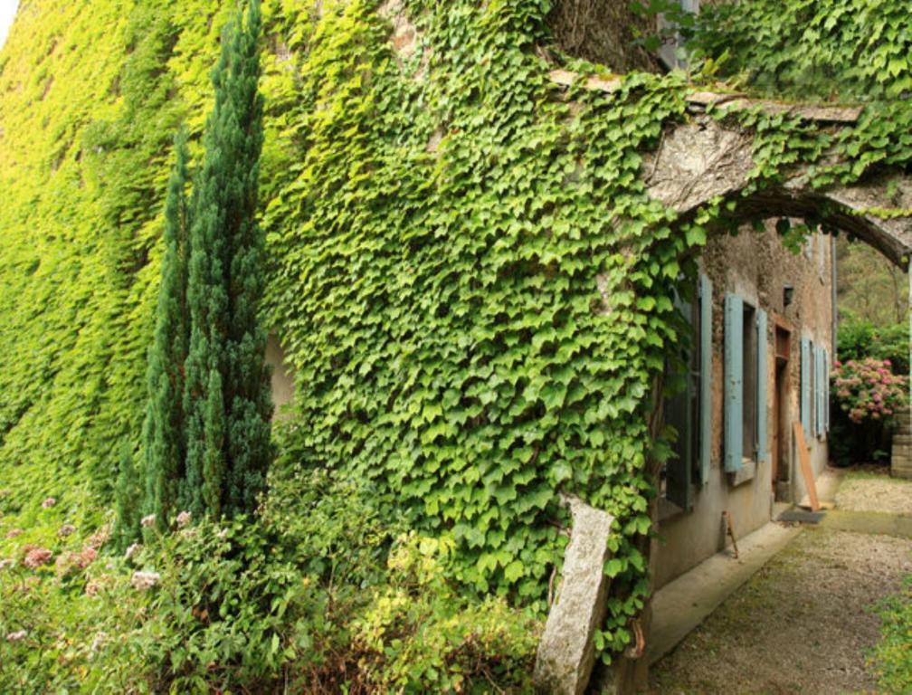 L'Affable Les Cammazes Bed & Breakfast Exterior photo
